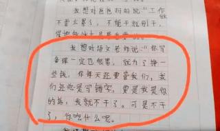 这样想象很有趣作文50字